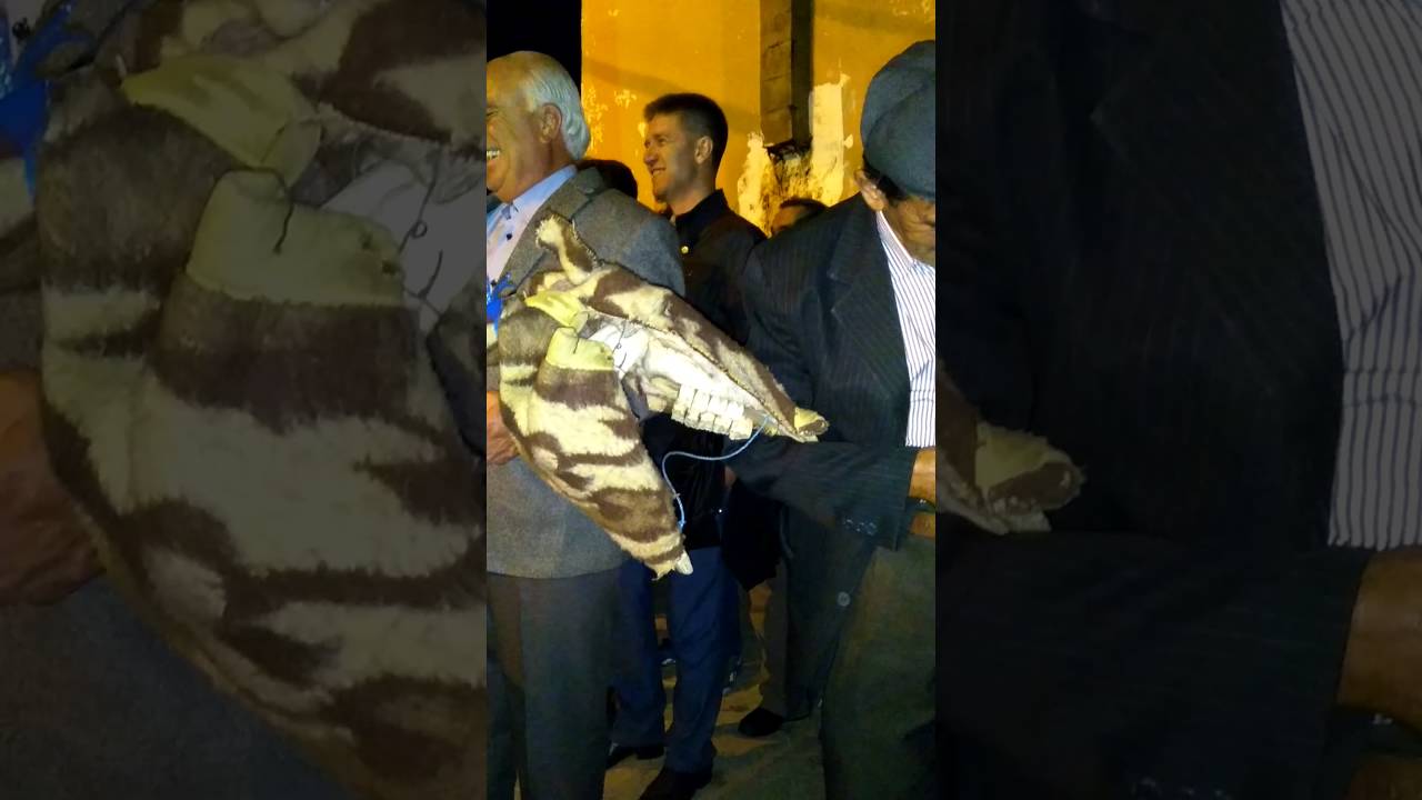 Manisa-Demirci MAHMUTLAR mahallesi deve oyunu