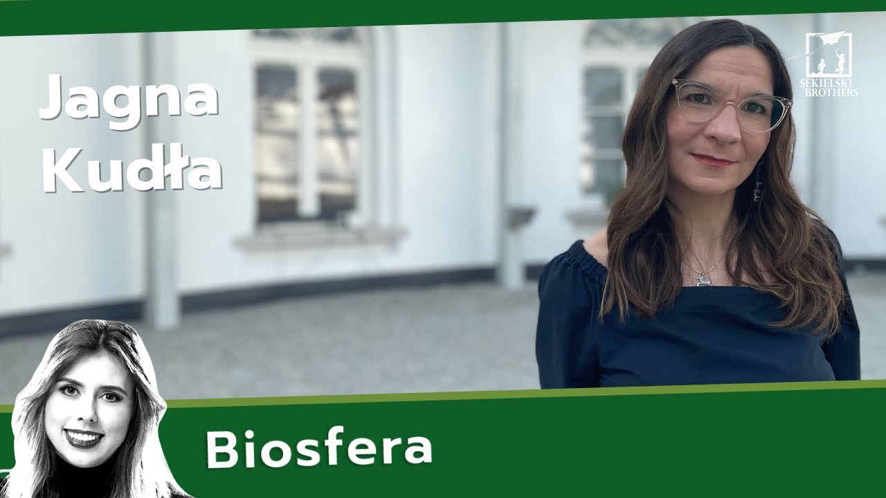 Jak zrozumieć kota?