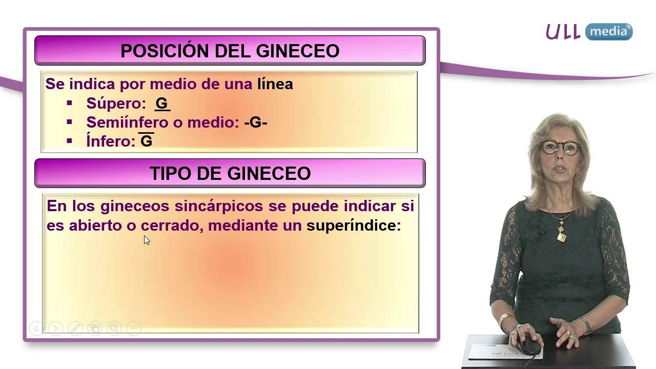 Morfología de espermatófitos. La flor en Angiospermas. Fórmula y diagrama floral