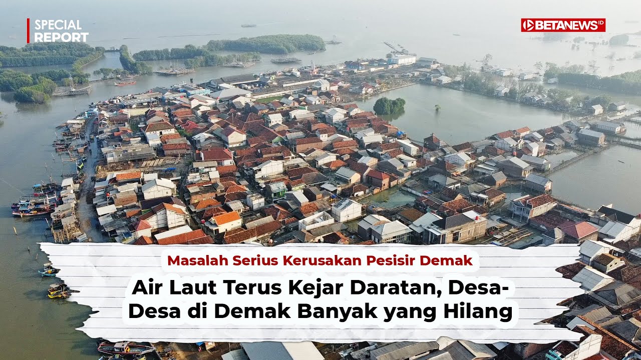 Masalah Serius Kerusakan Pesisir Demak, Desa-Desa Banyak yang Hilang | Special Report