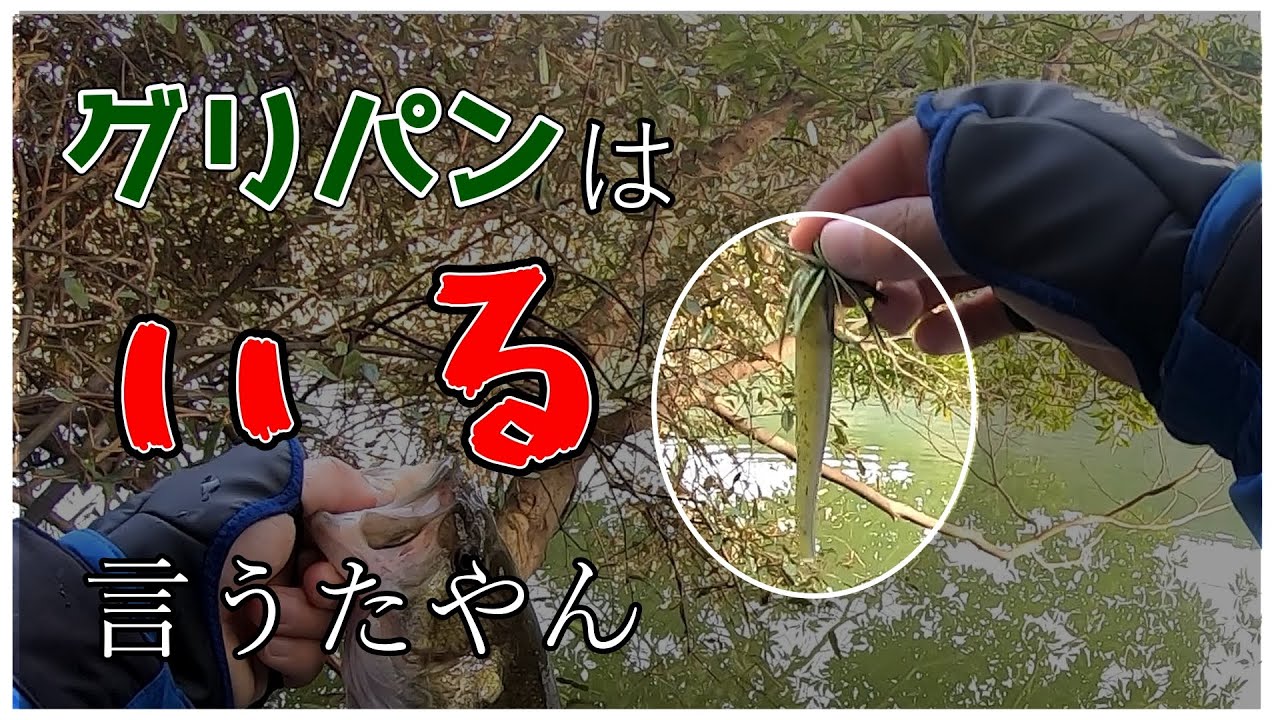 【ドロップショットミノー】これぞカラーローテーションの効果【ビーク】