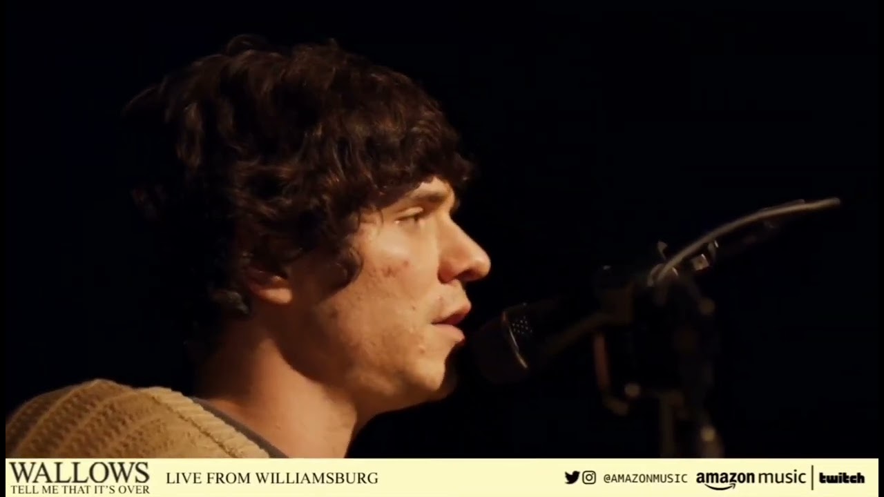 missing out - wallows at williamsburg