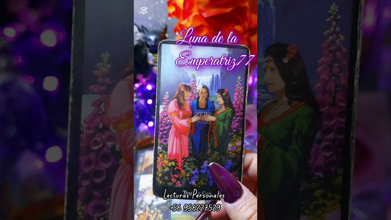 🥵 POR ANDAR DE C@LIENTE🔥 lo botaste👊💥 te cansaste de aguantar😡 duerme afuera como un 🐕