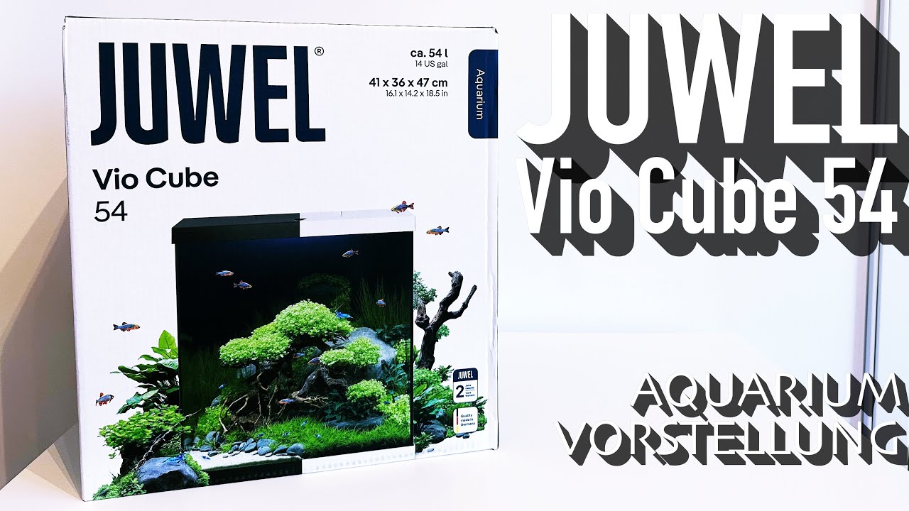 Juwel Vio Cube 54 - Aquarium Vorstellung