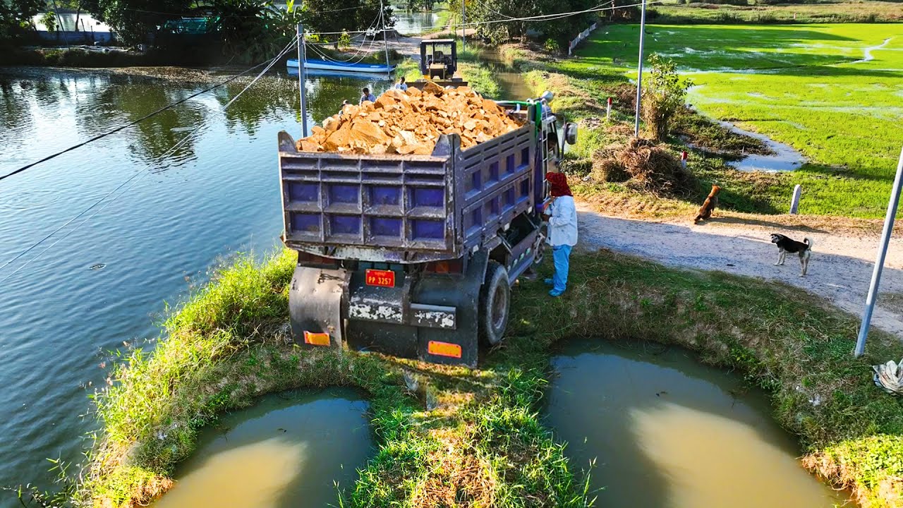 First Start Amazing Project!! Landfill Delete Deep Pond By Skills Dozer With 5t Truck Dumping Soil