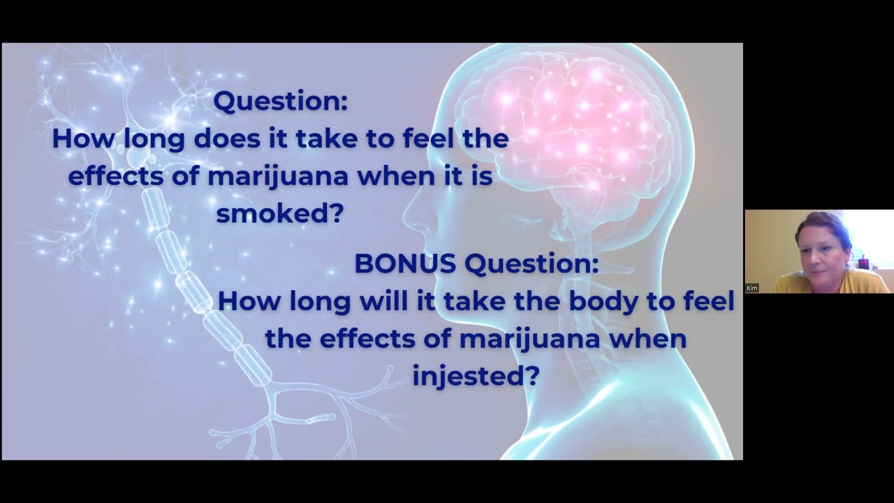 Marijuana 101: Just the Basics