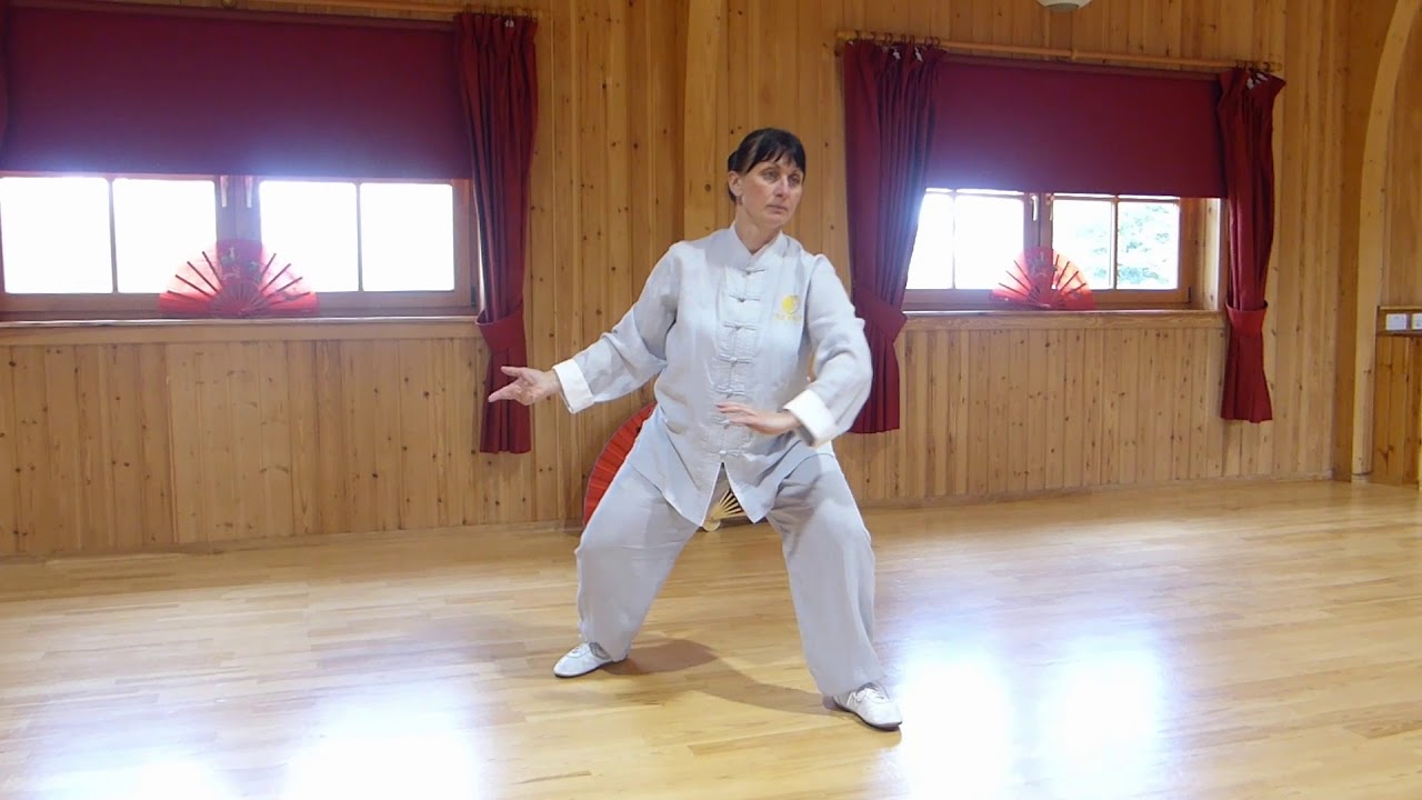 18 Movement Form - Chen Style Tai Chi