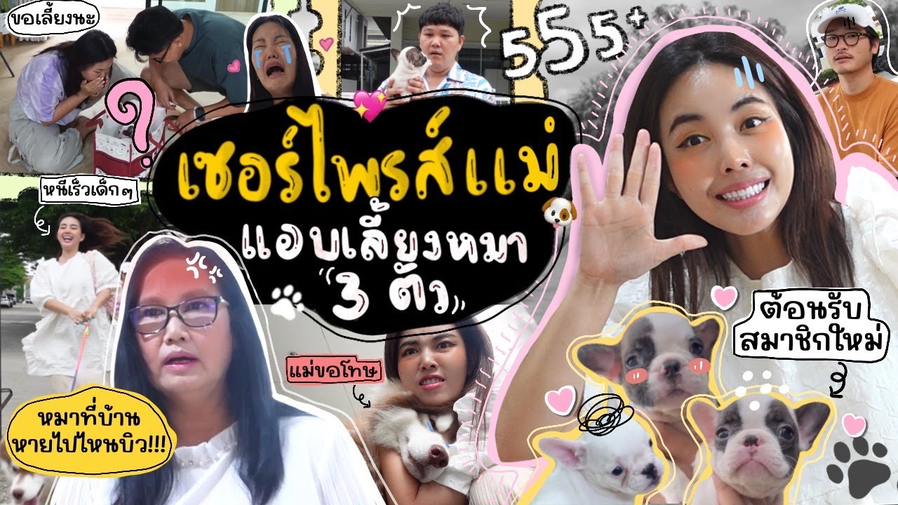 แอบเลี้ยงหมา 3 ตัว!! เซอร์ไพรส์แม่ หมาพันธุ์หน้าย่นที่แม่อยากเลี้ยงมานานมากก 🐶🐶🐶 l Bew Varaporn
