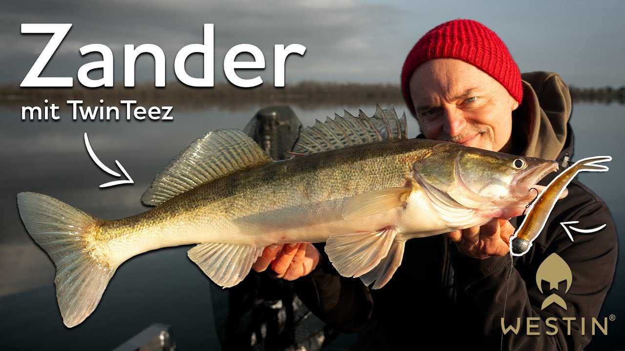 Zander mit TwinTeez - Didi´s Top Tipps | Westin Fishing (Deutsch)