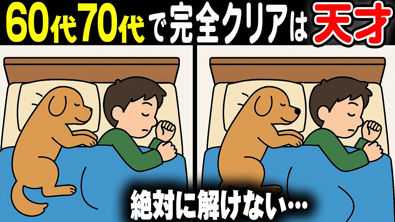 【難しいけど夢中になる間違い探しクイズ】達成感バツグンの問題が満載11問！