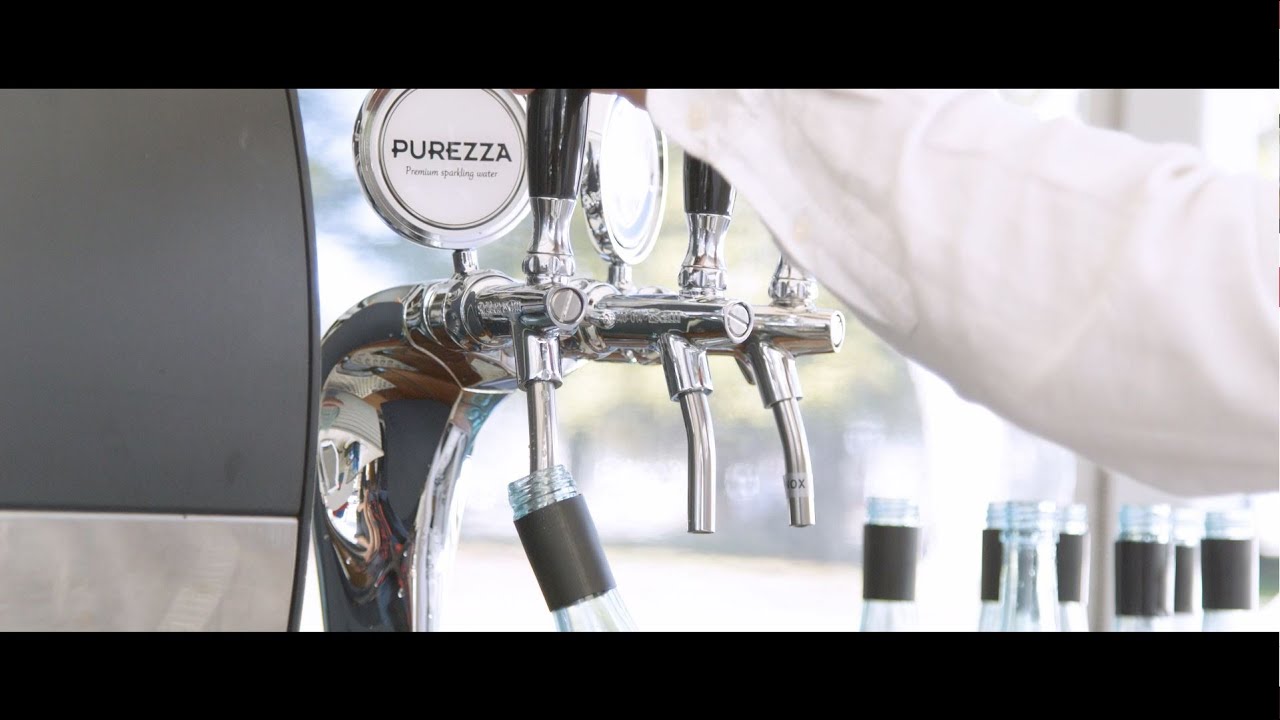 An Introduction to Purezza