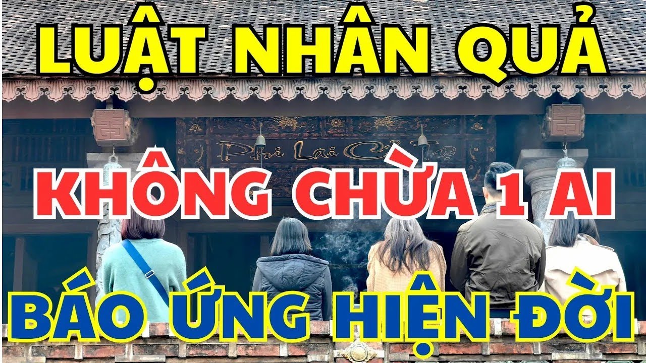 Kể Chuyện Nhân Quả   Báo Ứng Hiện Đời   Luật Nhân Quả Không Chừa Một Ai   Duyên Bồ Đề