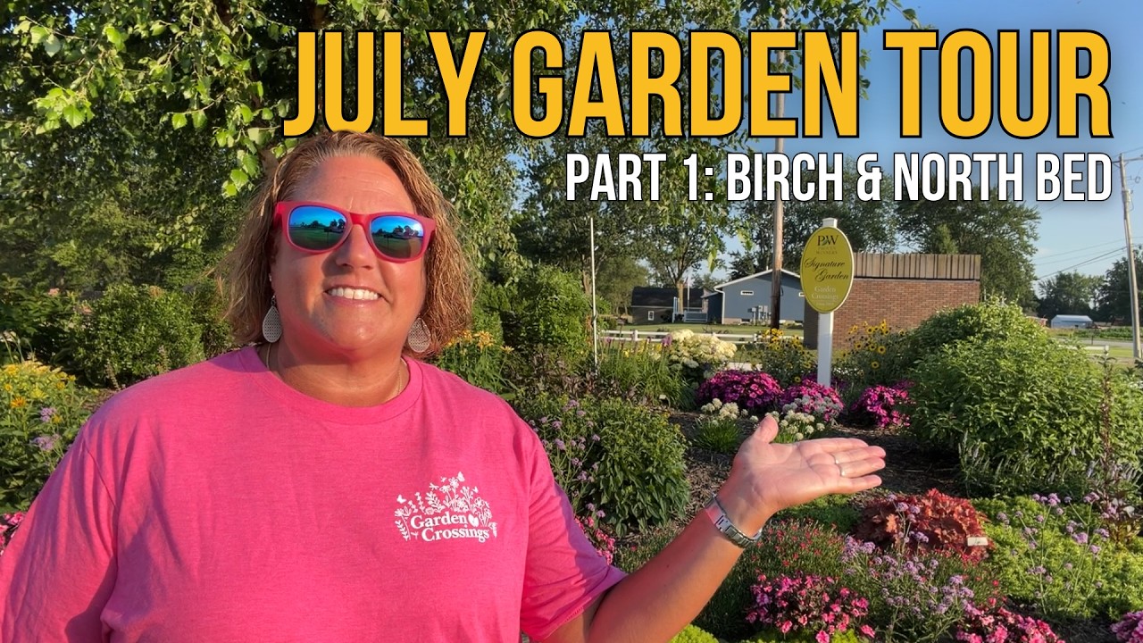 July Garden Tour, Part 1: The Birch Bed & North Bed | Garden Crossings