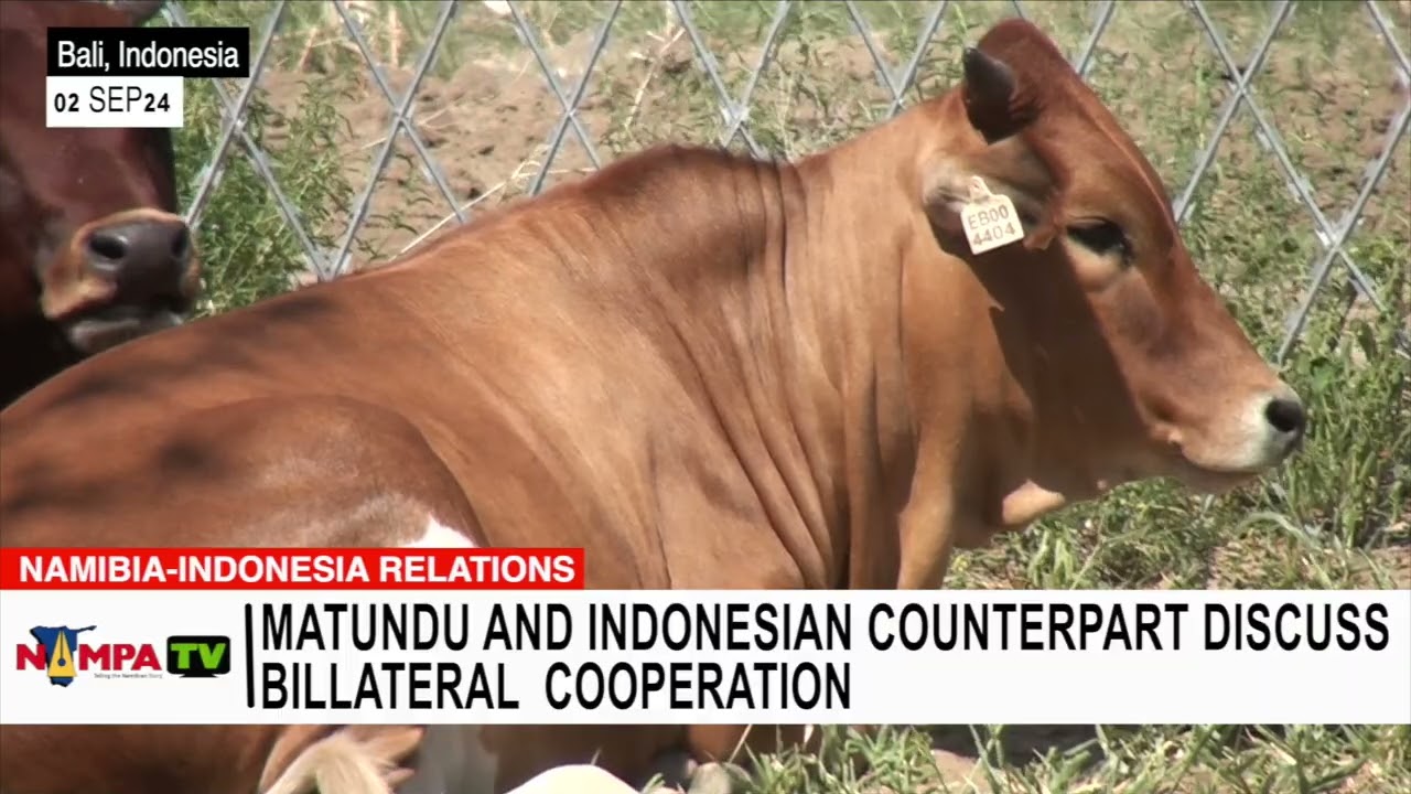 Matundu and Indonesian counterpart discuss  bilateral  cooperation