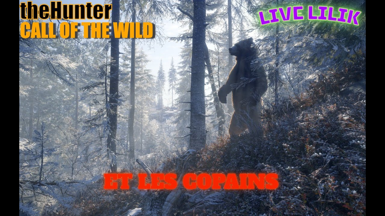 TheHunter Lilik et les copains !