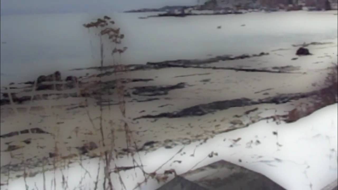 Ulysses by James Joyce - Proteus excerpt