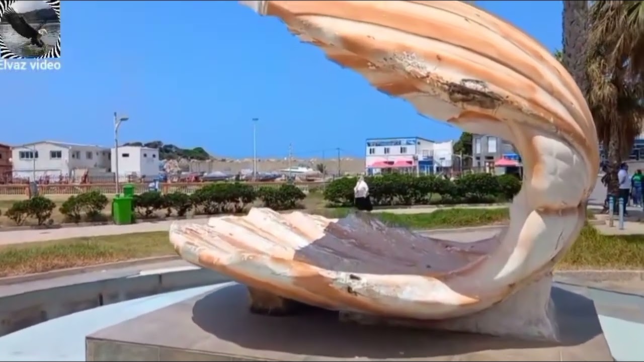 Elvaz N'djardjar Officiel/ Balade à Tigzirt