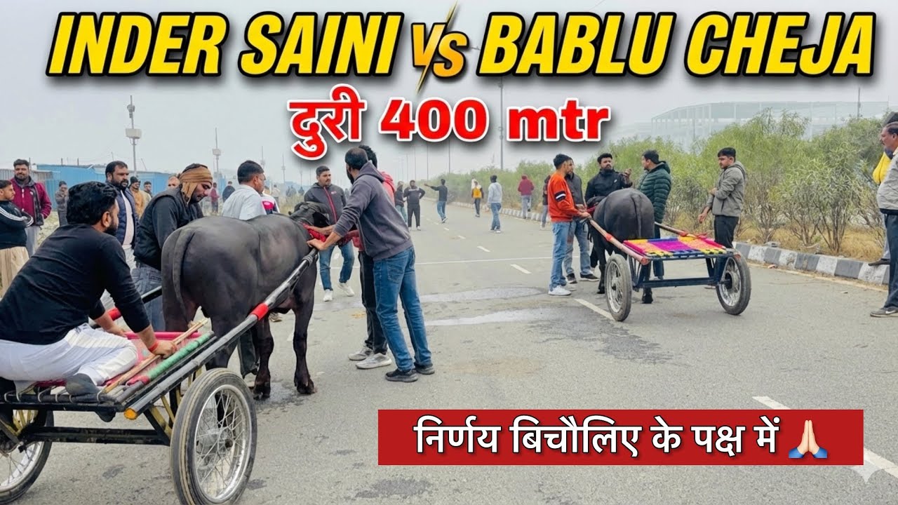 इन्द्र सैनी 🆚 बबलू अछेजा आज का मुकाबला दूरी 400mtr बराबर का मुकाबला 🏆 निर्णय बिचौलिए के पक्ष में रहा