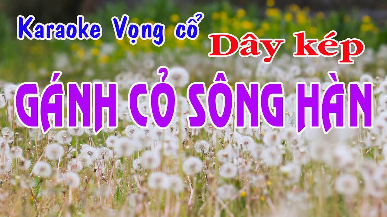 Karaoke trích đoạn GÁNH CỎ SÔNG HÀN - DÂY KÉP