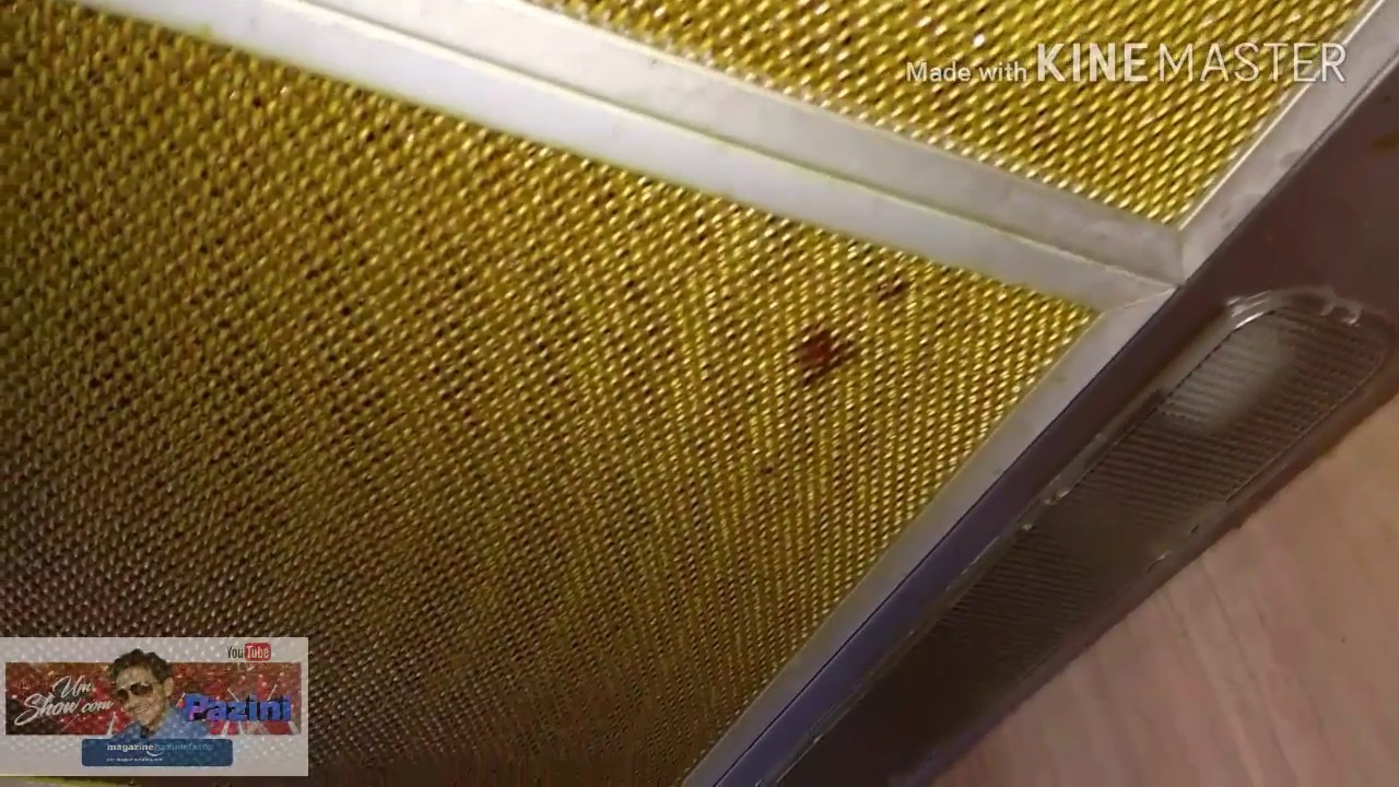 ÁCIDO TIRANDO GORDURA DE TELA DE COIFA.