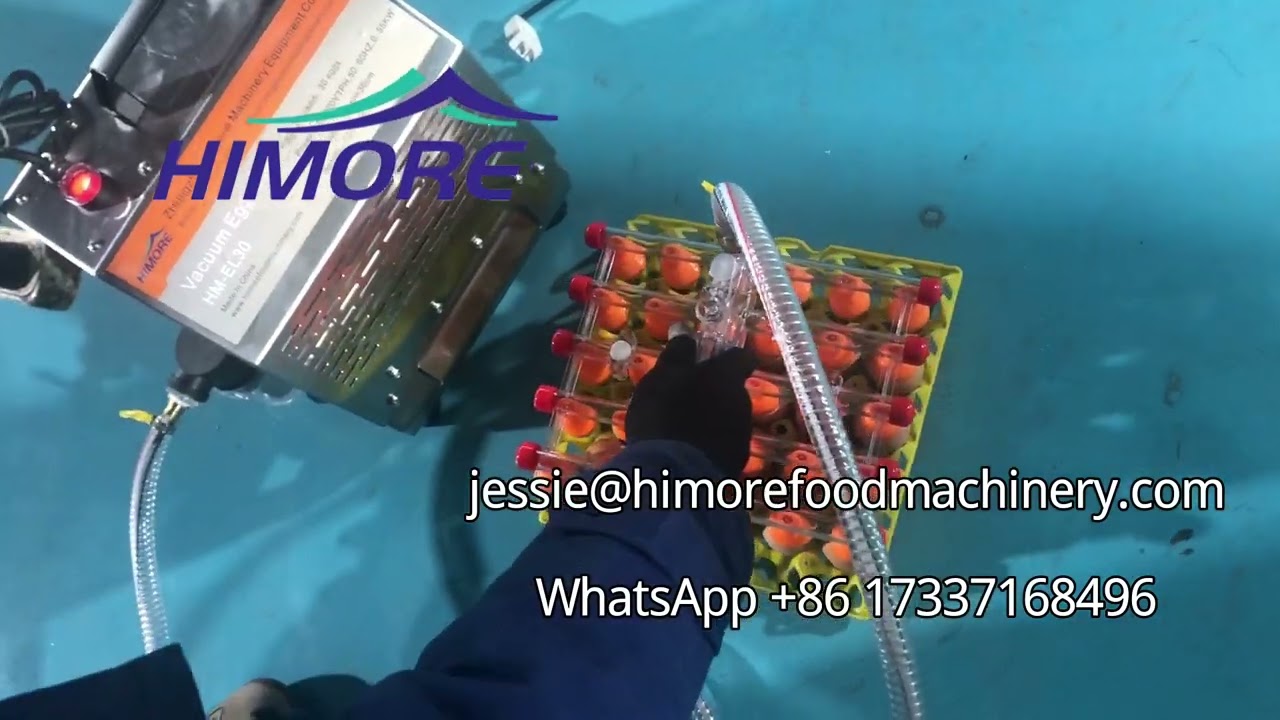 Vacuum Egg Lifter