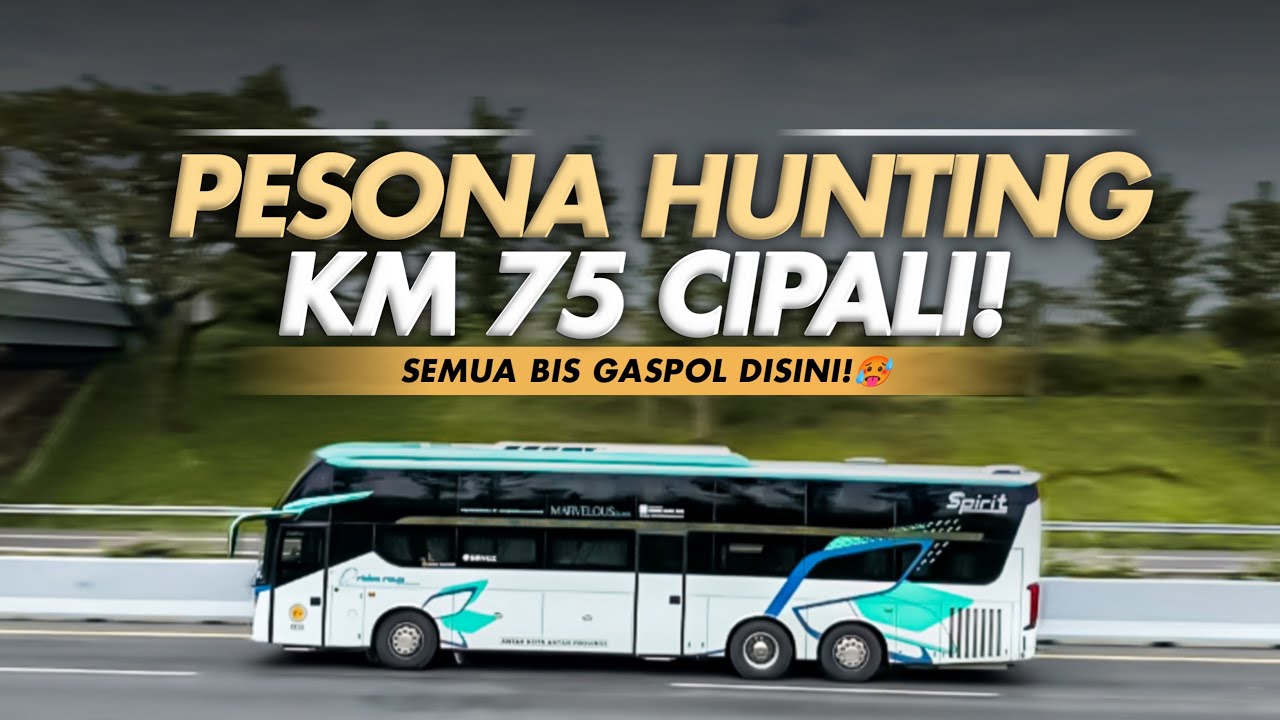 [ CIPALIRACE! ] RIMBA RAYA MELINTAS BAGAI PELURU🔥🥵- Hunting pagi di Tol Cipali KM75!