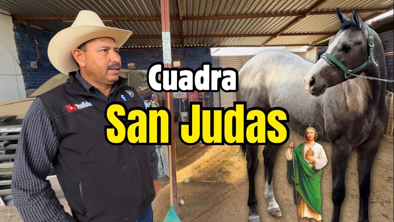 Así es la Cuadra San Judas | Caballos de carreras impresionantes 🐎🔥. 