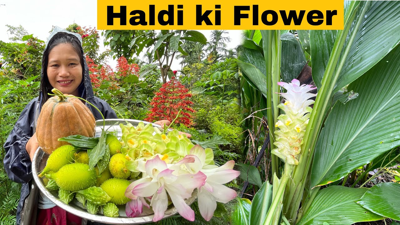 Haldi ki flower cooking kiya | Cooking and Eating Turmeric flower 🌸 recipe | Cook and Eat