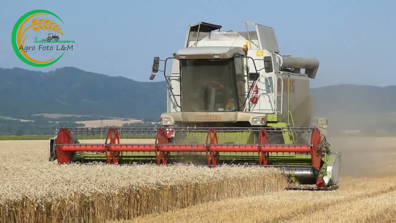 Claas Lexion 780 / 450 | Case CF80 || New Holland T7 / Deutz Fahr / Zetor || Pšenica PD Pobedim 2021