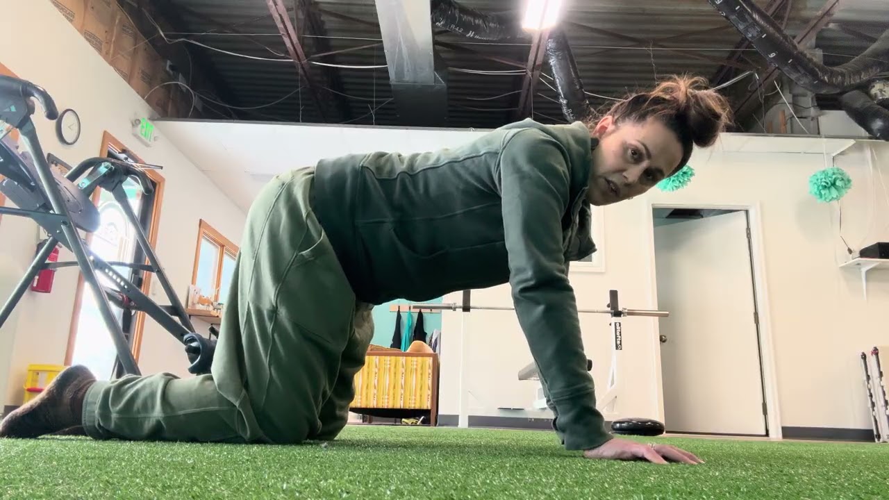 Cat Cow Tummy Vacuum