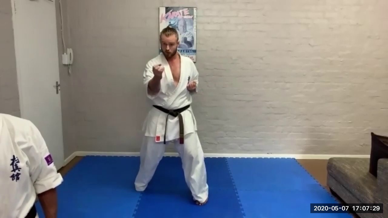 Hennie Bosman School of Karate | Intermediate Level Zoom Class 07.05.2020