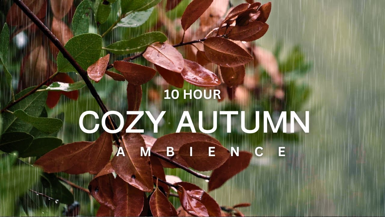 10 Hour | 🍂✨ Magical Fall Rain ✨🍂 Cozy Rain Ambience for Peaceful Meditation | Sleep | Work | Focus