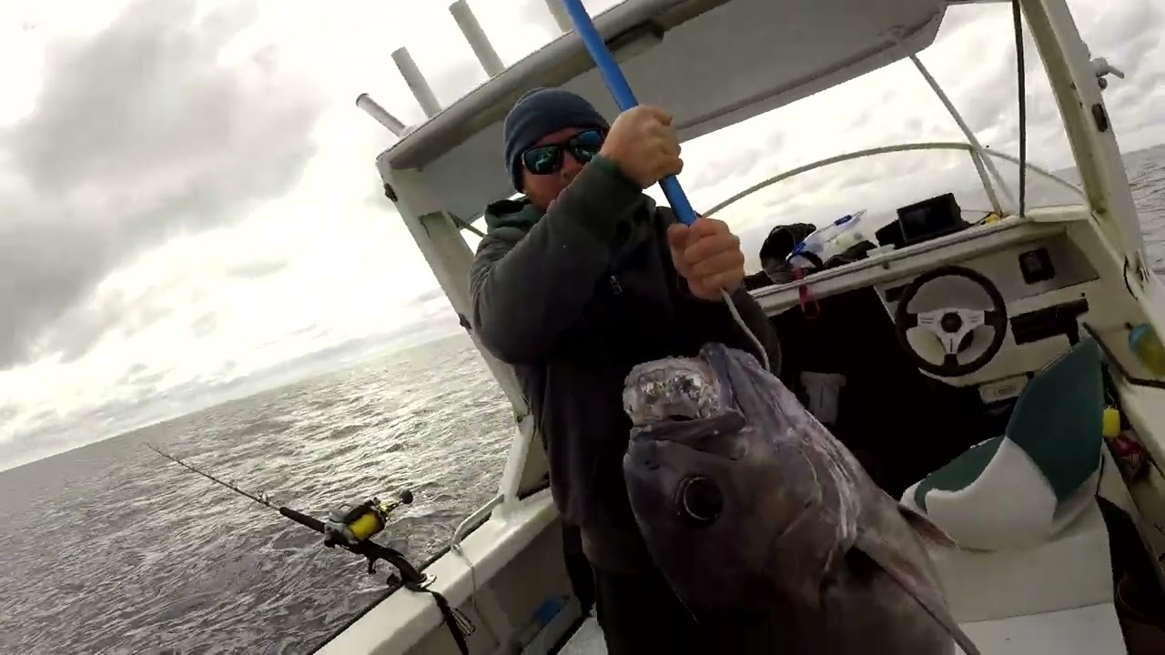 Bluenose, Swordfish, Bluefin tuna Mayor Island 2024