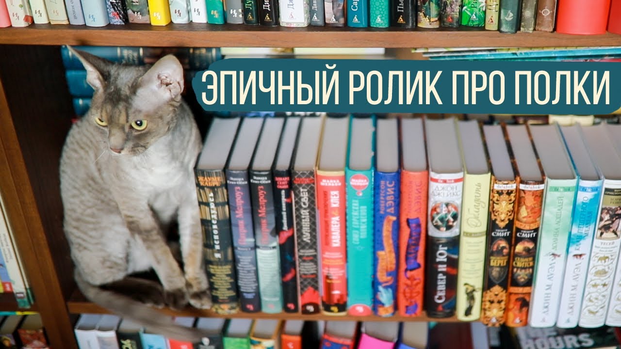 ВСЕ МОИ КНИЖНЫЕ ПОЛКИ! жуть как много книг😅