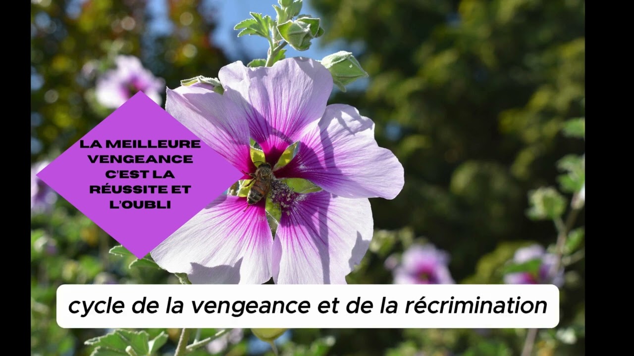 La meilleure vengeance c'est  la r&eacute;ussite et l&rsquo;oubli
