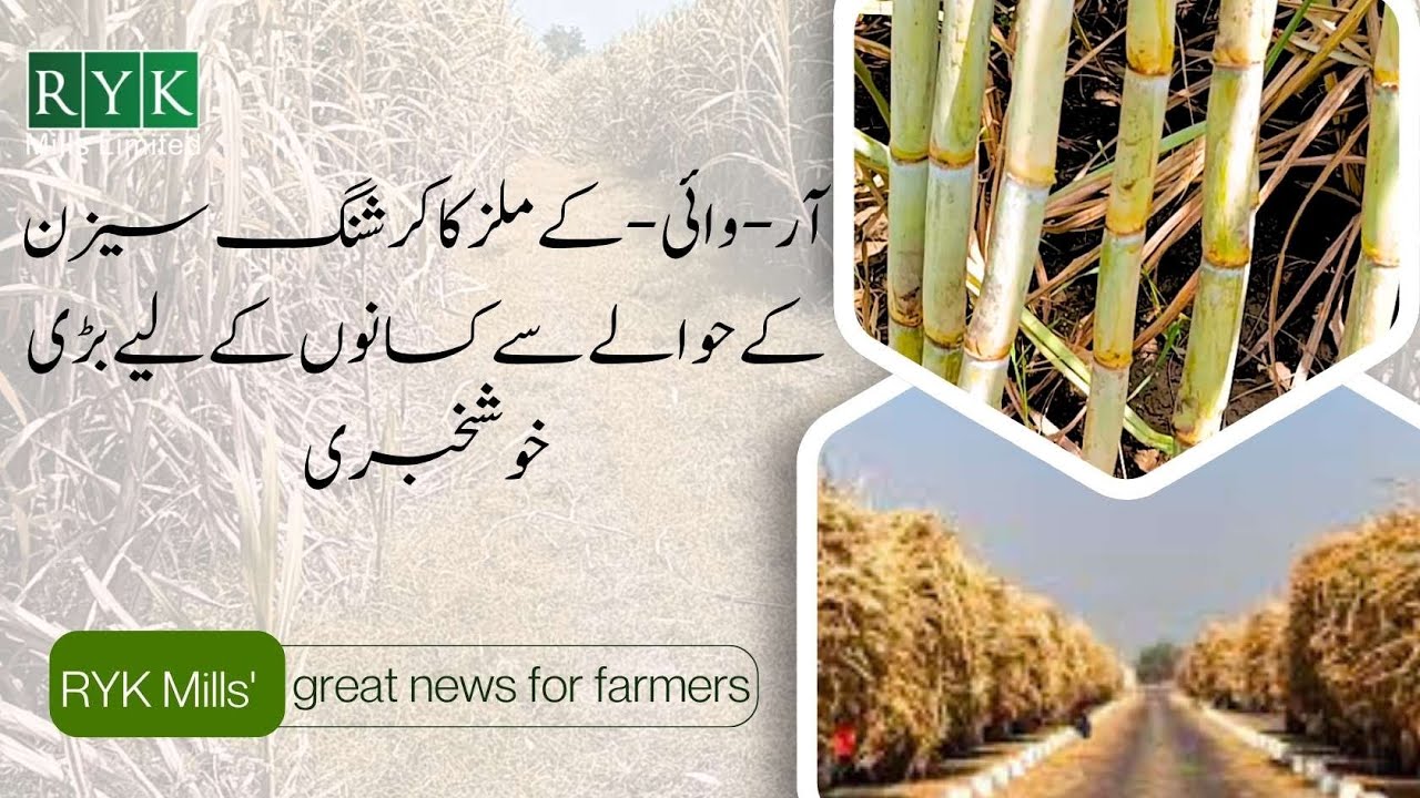 RYK Mills Ltd | Great News for Farmers
