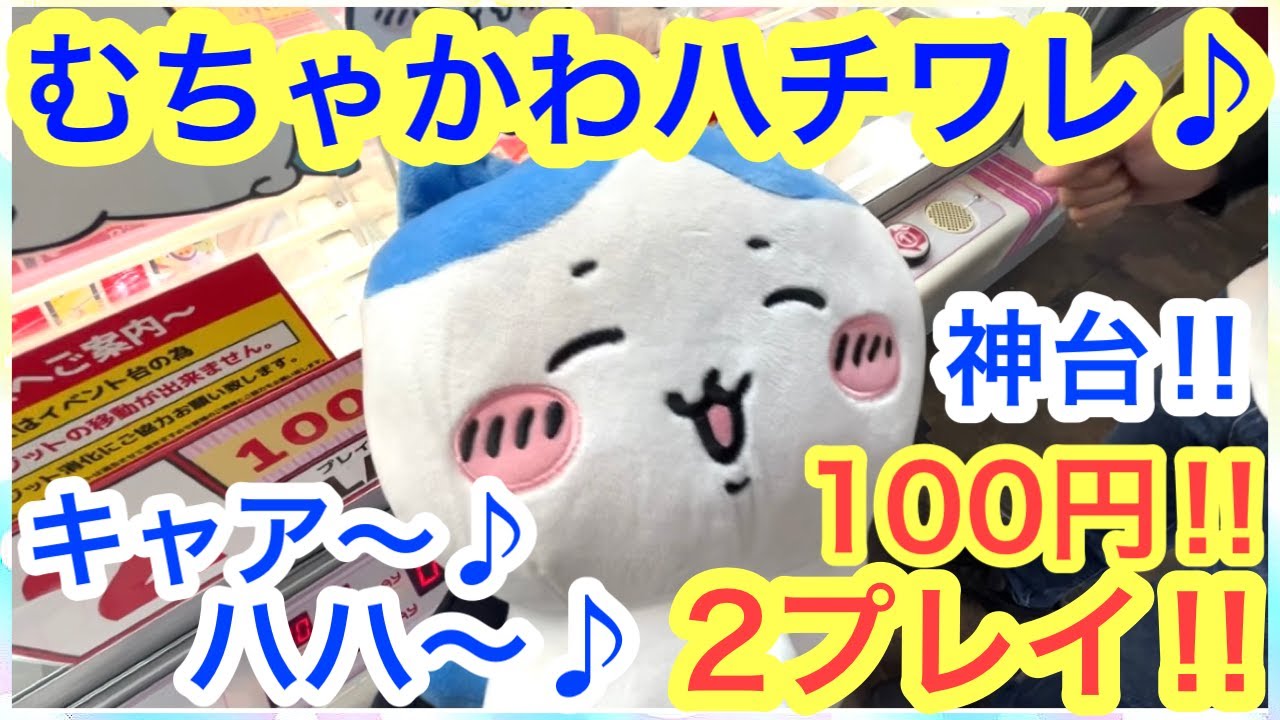 【ちいかわ】ちいかわハチワレおしりふりふりBIGぬいぐるみを取りに来た！！この可愛いちいかわハチワレに注目です＾＾