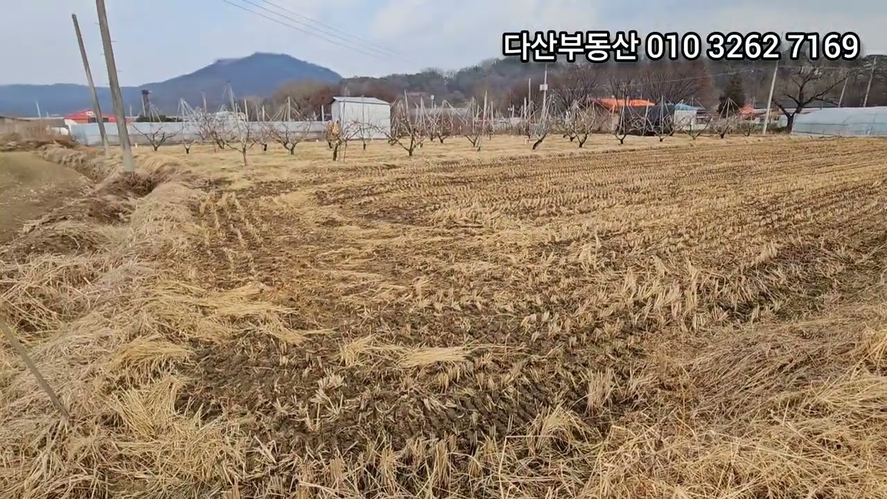 1638.[3천8백만원] 음성군 소이면 충도리 토지매매