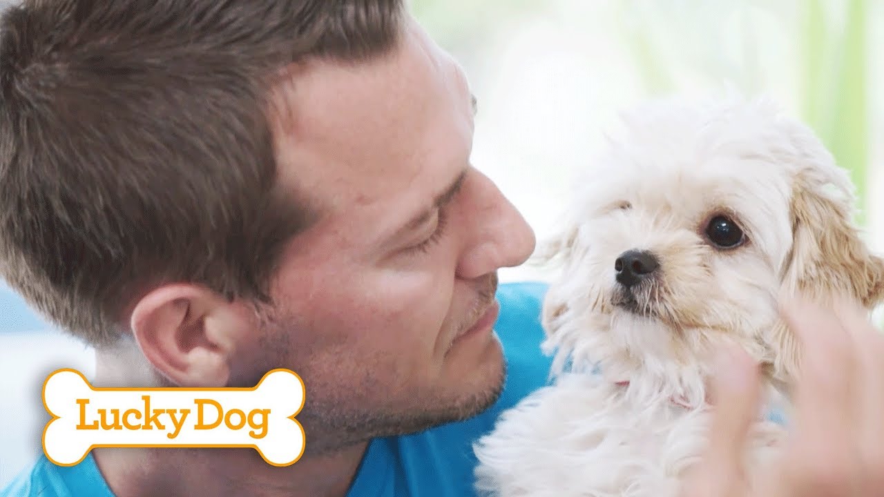 Maddie's MIRACULOUS Recovery Journey with Brandon McMillan (Part 1)