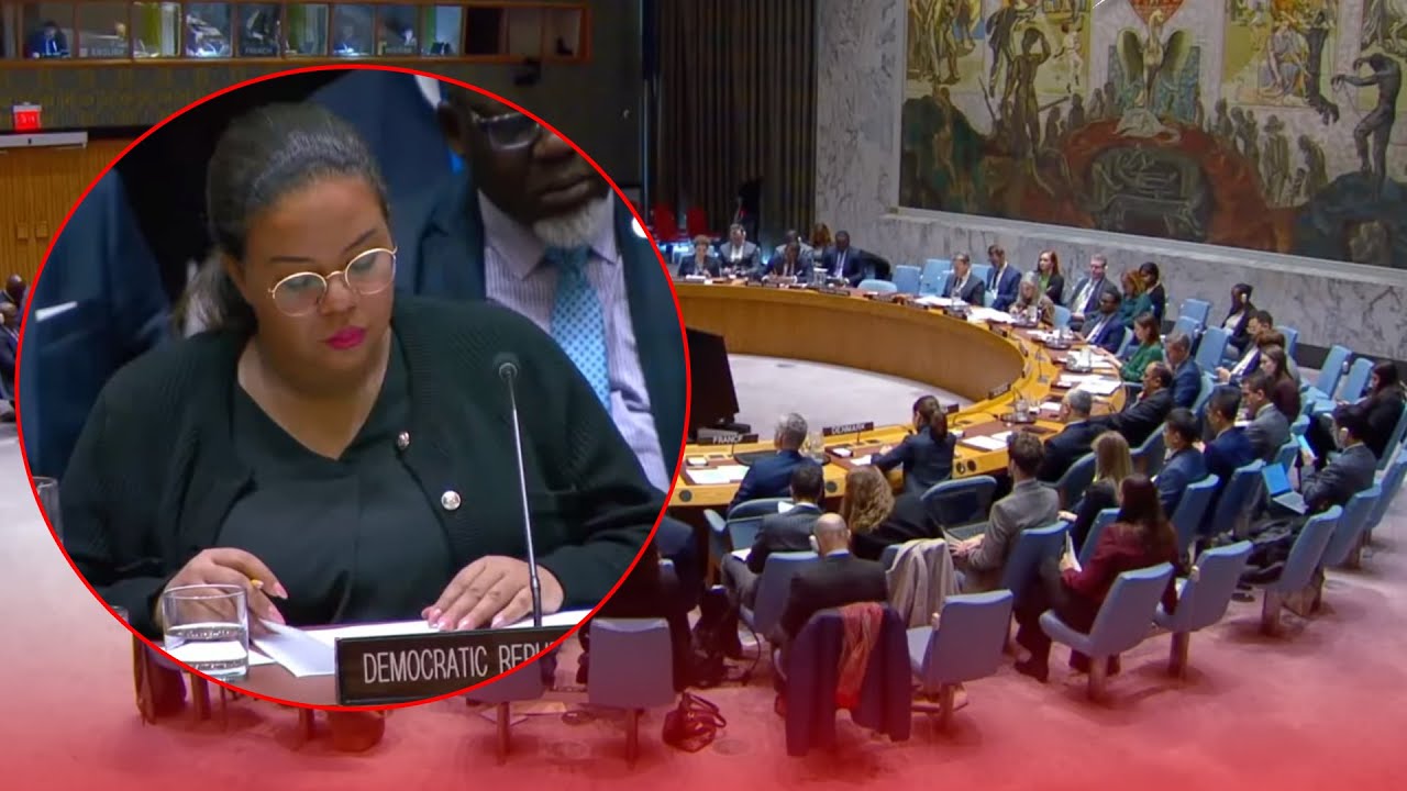 Situation s&eacute;curitaire en RDC : le Conseil de s&eacute;curit&eacute;&nbsp;en&nbsp;r&eacute;union