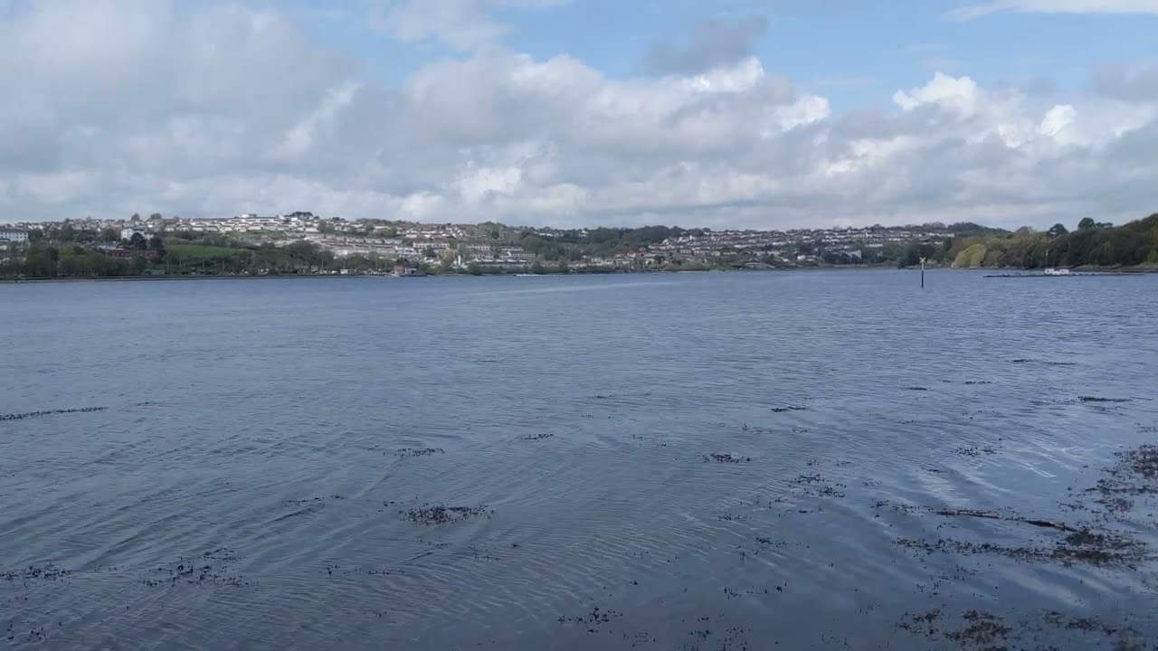 River Plym (Laira Lake), Plymouth