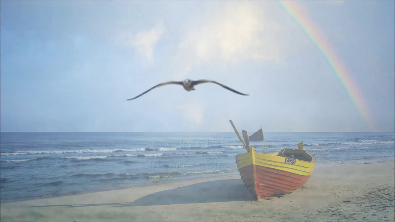 Decídete a volar- Florencia Ciarlo (con letra)