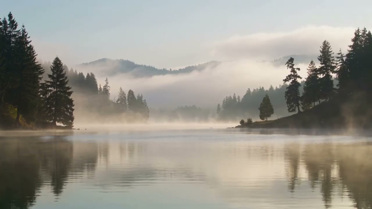 Foggy Lake Morning | Peaceful Ambience