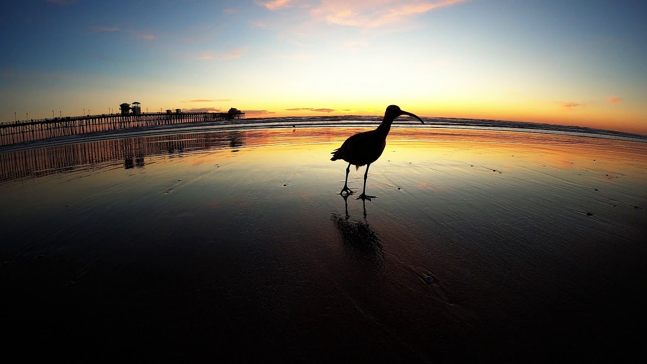 Oceanside Pier Sunset Timelapse Video 1/17/2020