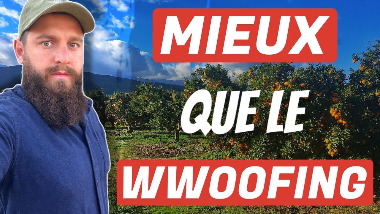 Le problème avec le wwoofing ( retour d’expérience )