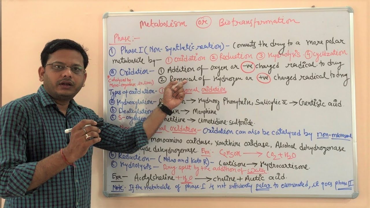 Metabolism of Drug (Part 02) | Phases of Drug Metabolism | Metabolism of Drug | ADME क्या होता है
