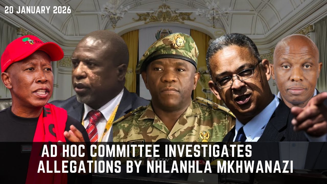 Robert McBride appears before the Ad Hoc Committee | 20 January 2026
