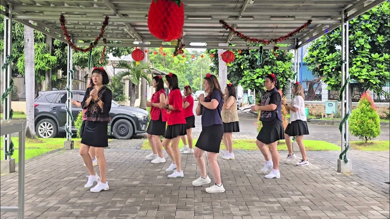 Gong Xi Gong xi Line Dance ||Beginner ||Demo-Swallow LD