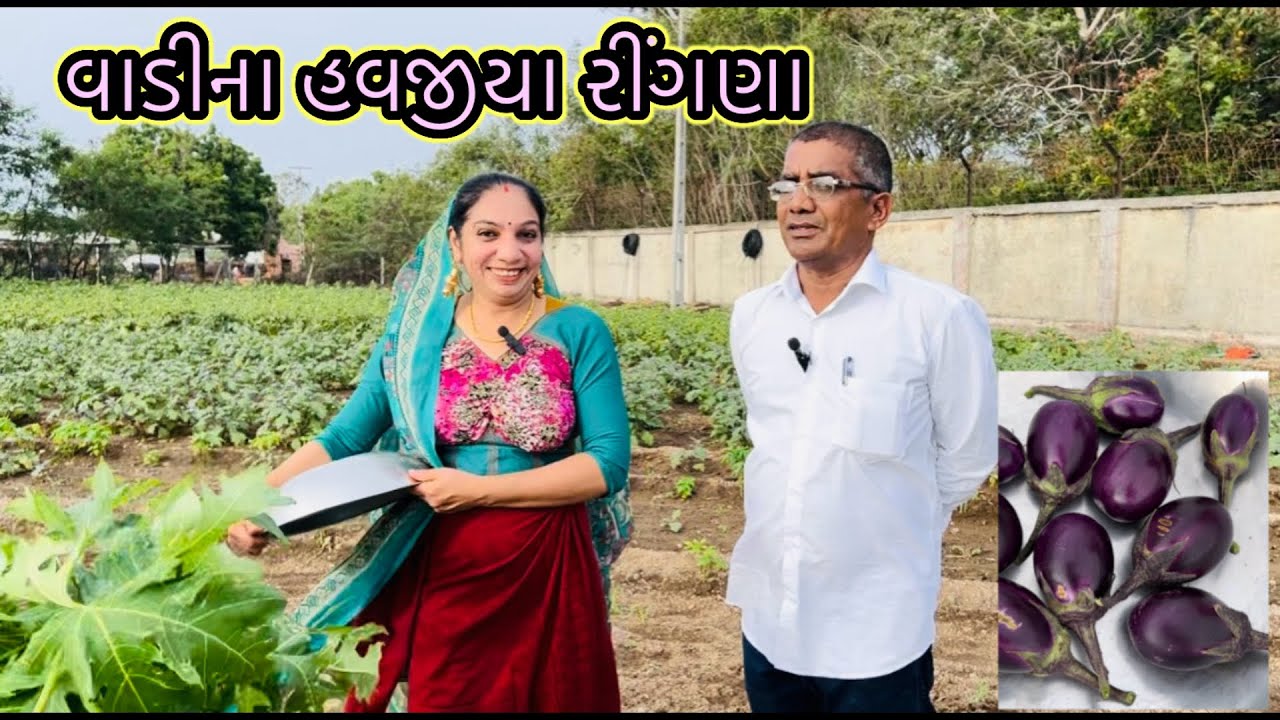 Traditional, વાડીએ બકાલું ઉતારવા , our weekend #vegetables