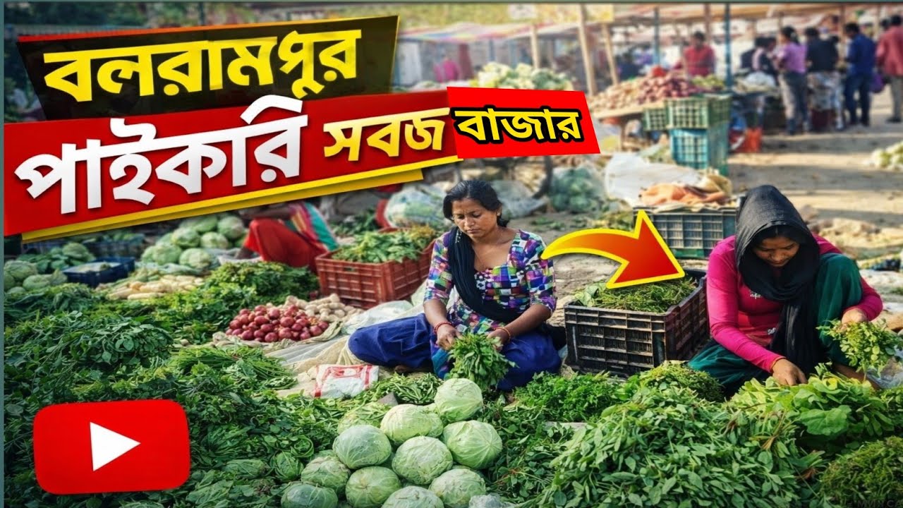পুরুলিয়া সবথেকে বড়ো সবজি আড়ৎ || বলরামপুর হোলসেল সবজি বাজার  জানুন এখানে দাম থাকে আর কেমন পায়াযাই 